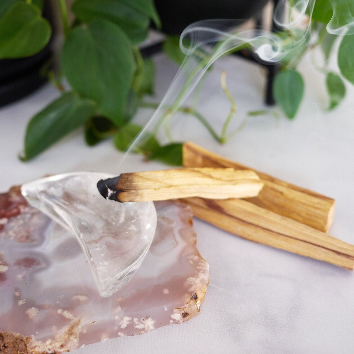 Palo Santo Sticks | Holy Wood from Peru