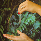 Hyaluronic Acid Antioxidant Serum